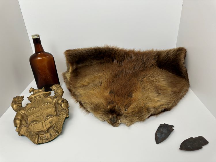 Artifacts from the Fur Trade, including a beaver pelt and two arrowheads
