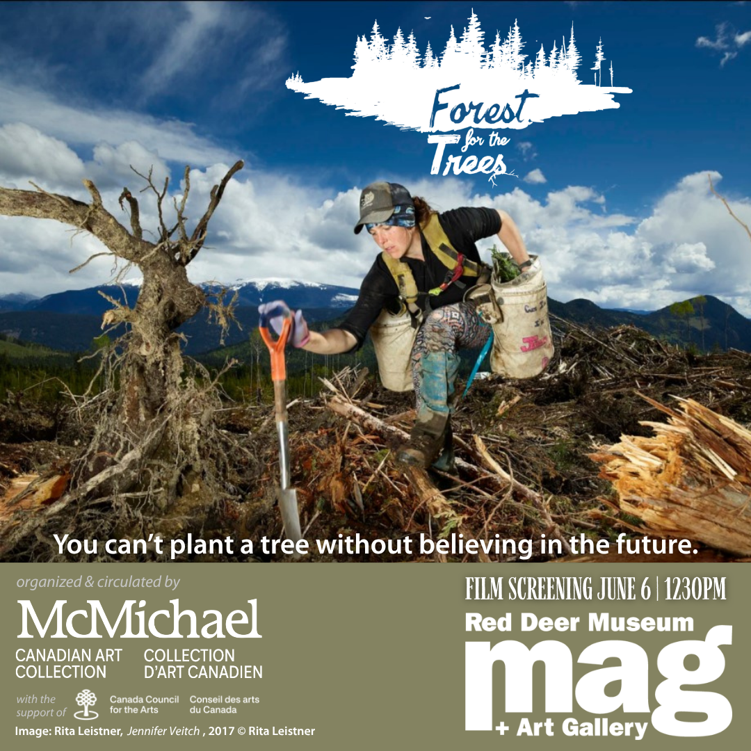 Forest for the Trees – Film Screening